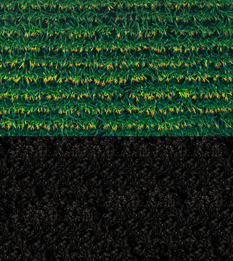 <h2><strong>Biochar As Soil Amendment</strong></h2>