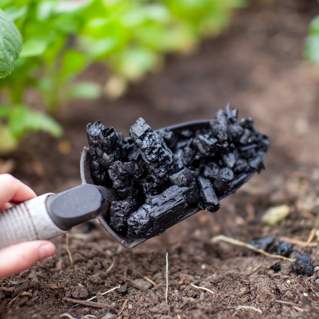 How To Make Biochar at Home - Biochar Station – Biochar Station