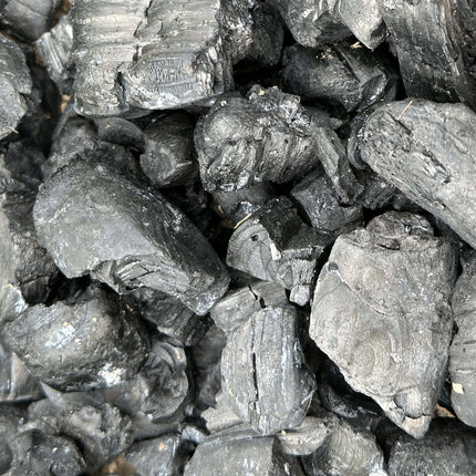 Biochar Fertilizer