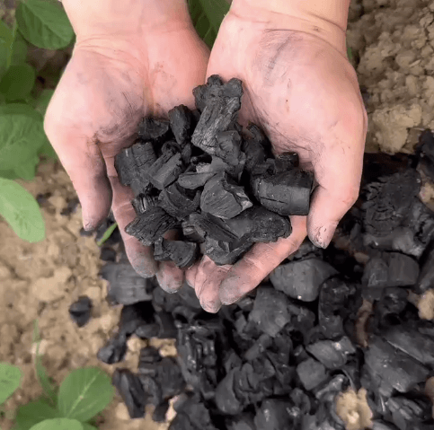 Biochar Fertilizer